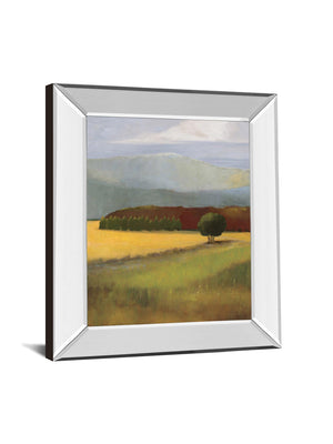 Field Of Gold By Judith D'Agostino 22X26 Mirror Frame Print
