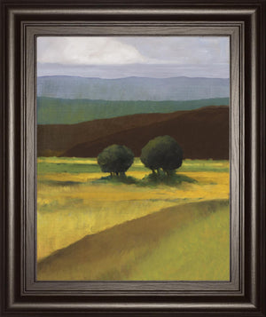 Field Of Light By Judith D'Agostino 22X26 Framed Print