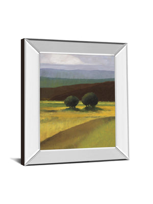 Field Of Light By Judith D'Agostino 22X26 Mirror Frame Print