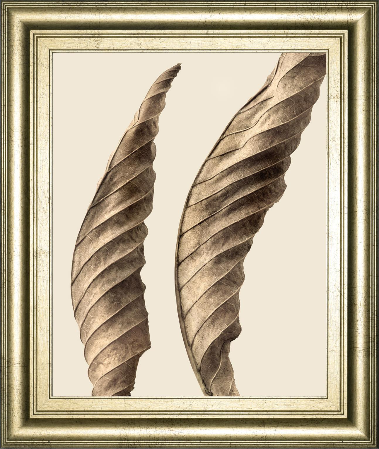 Turning Leaves I By Jeff Friesen 22X26 Framed Print