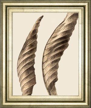 Turning Leaves I By Jeff Friesen 22X26 Framed Print