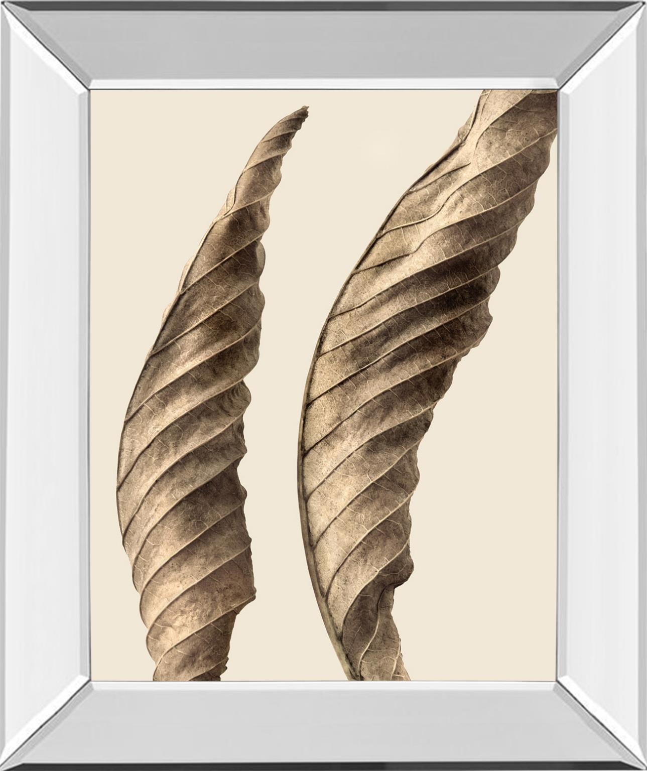 Turning Leaves I By Jeff Friesen 22X26 Mirror Frame Print