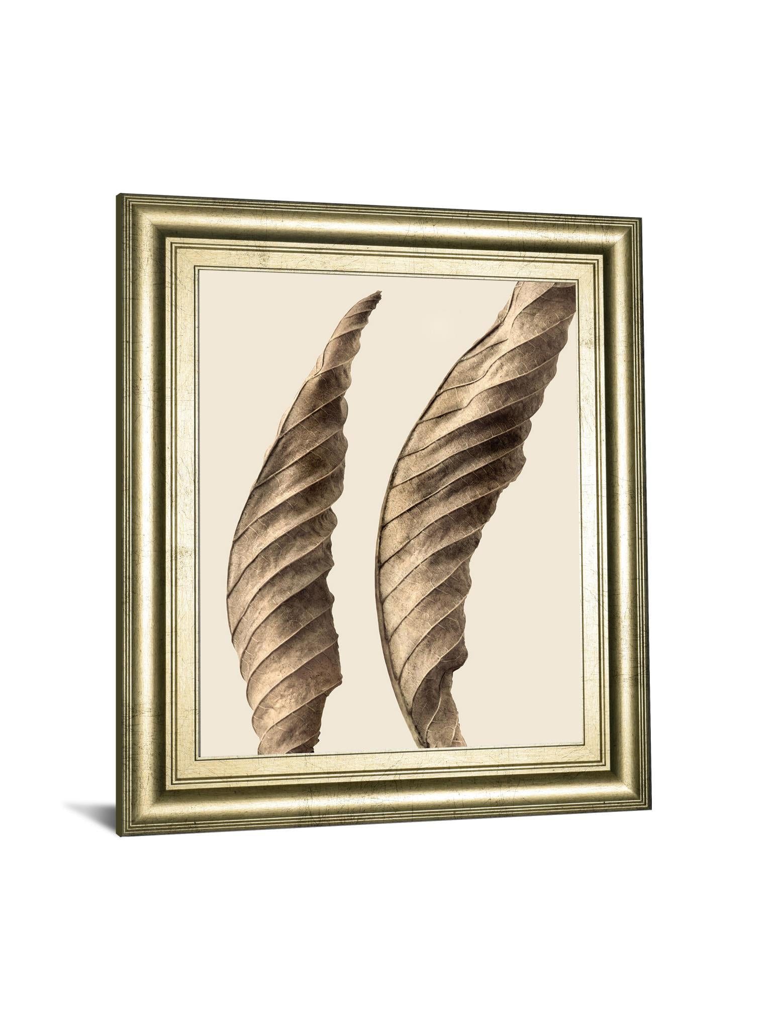 Turning Leaves I By Jeff Friesen 22X26 Framed Print