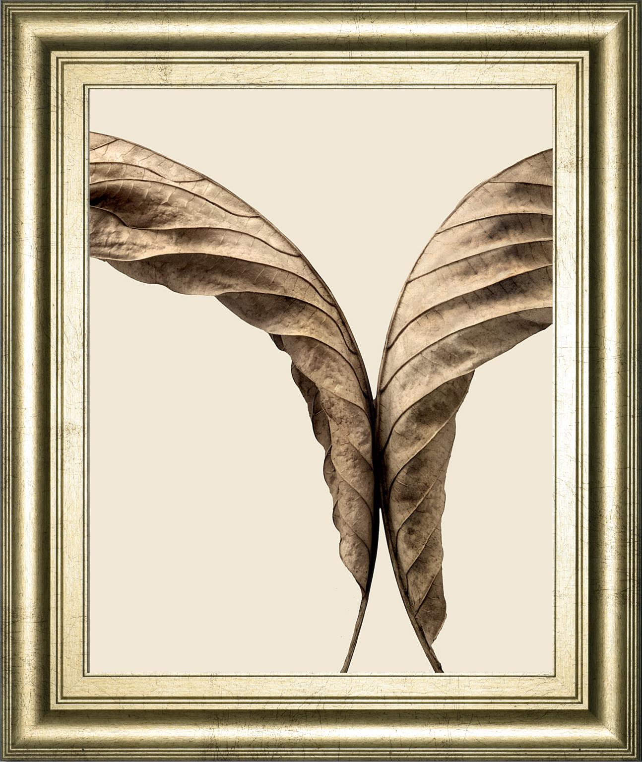 Turning Leaves Ii By Jeff Friesen 22X26 Framed Print