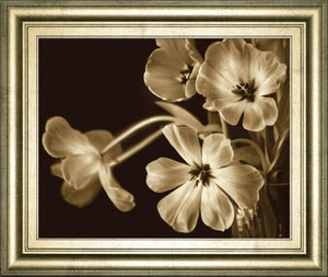 Elegante By Adrian Jendrasik 22X26 Framed Print
