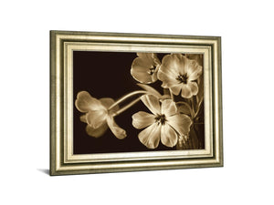 Elegante By Adrian Jendrasik 22X26 Framed Print