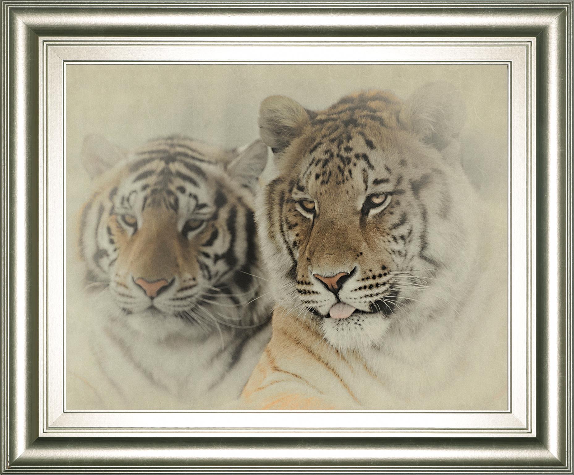 Mystic Realm By Wink Gaines 22X26 Framed Print