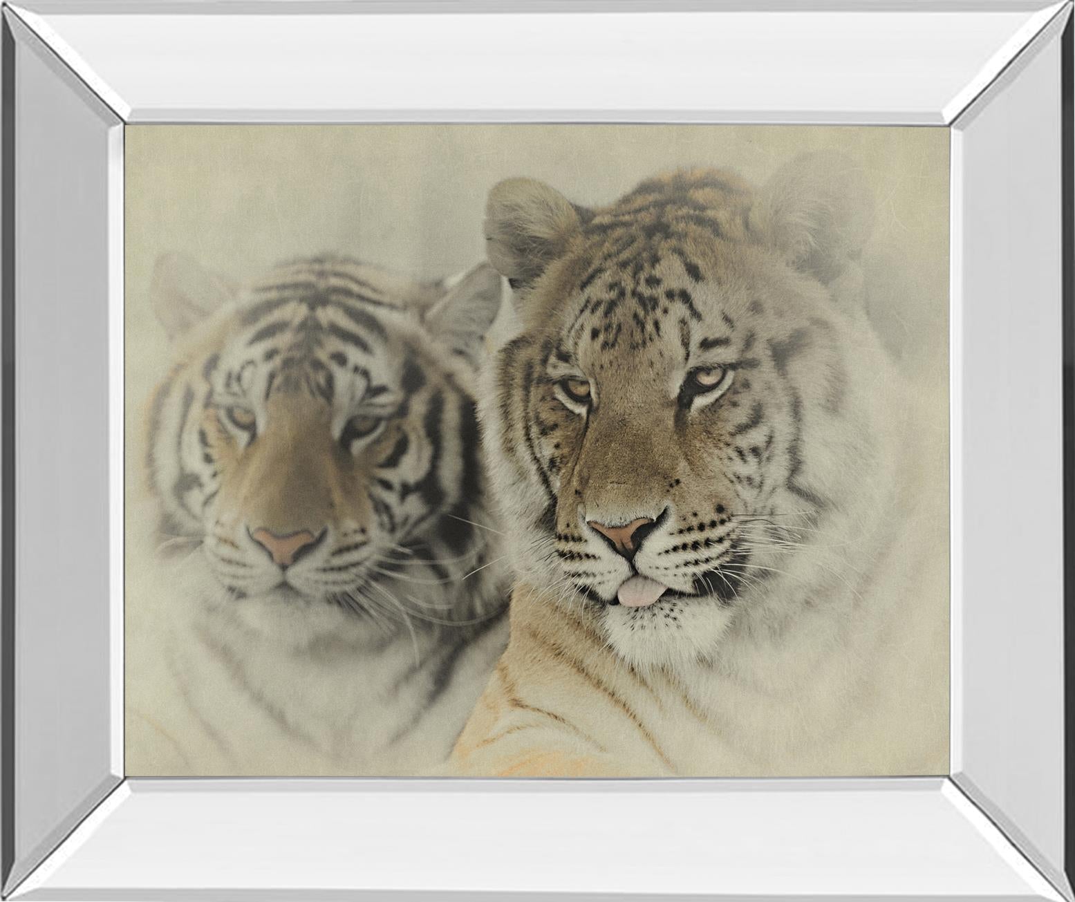 Mystic Realm By Wink Gaines 22X26 Mirror Frame Print