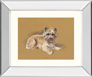 Andrew By Mac 22X26 Mirror Frame Print
