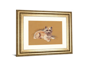 Andrew By Mac 22X26 Framed Print