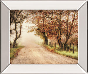 Fog Ahead By D. Burt 22X26 Mirror Frame Print