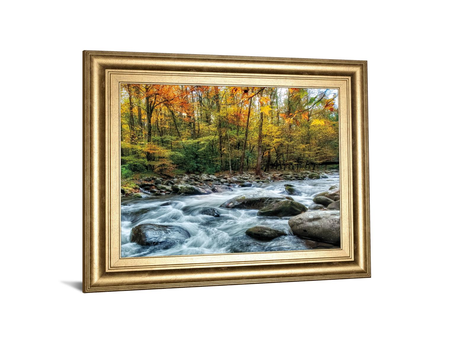 Painted Autumn By D. Burt 22X26 Framed Print