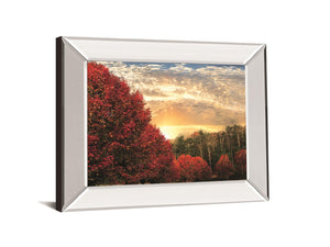 Crimson Tress By Celebrate Life Gallery 22X26 Mirror Frame Print
