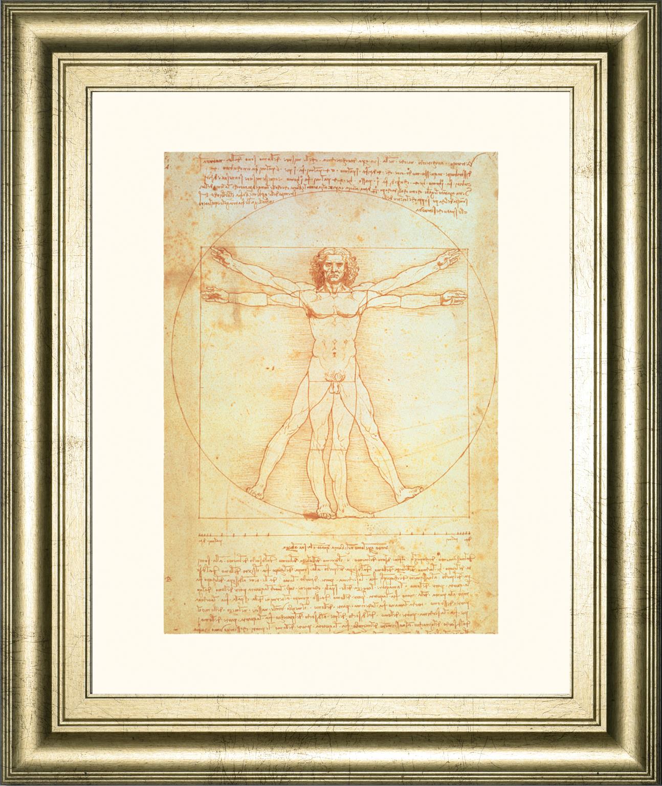 Vituvian Man By Leonardo Da Vinci 22X26 Framed Print