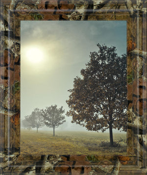 It'S A New Day By Frank, A 22X26 Framed Print