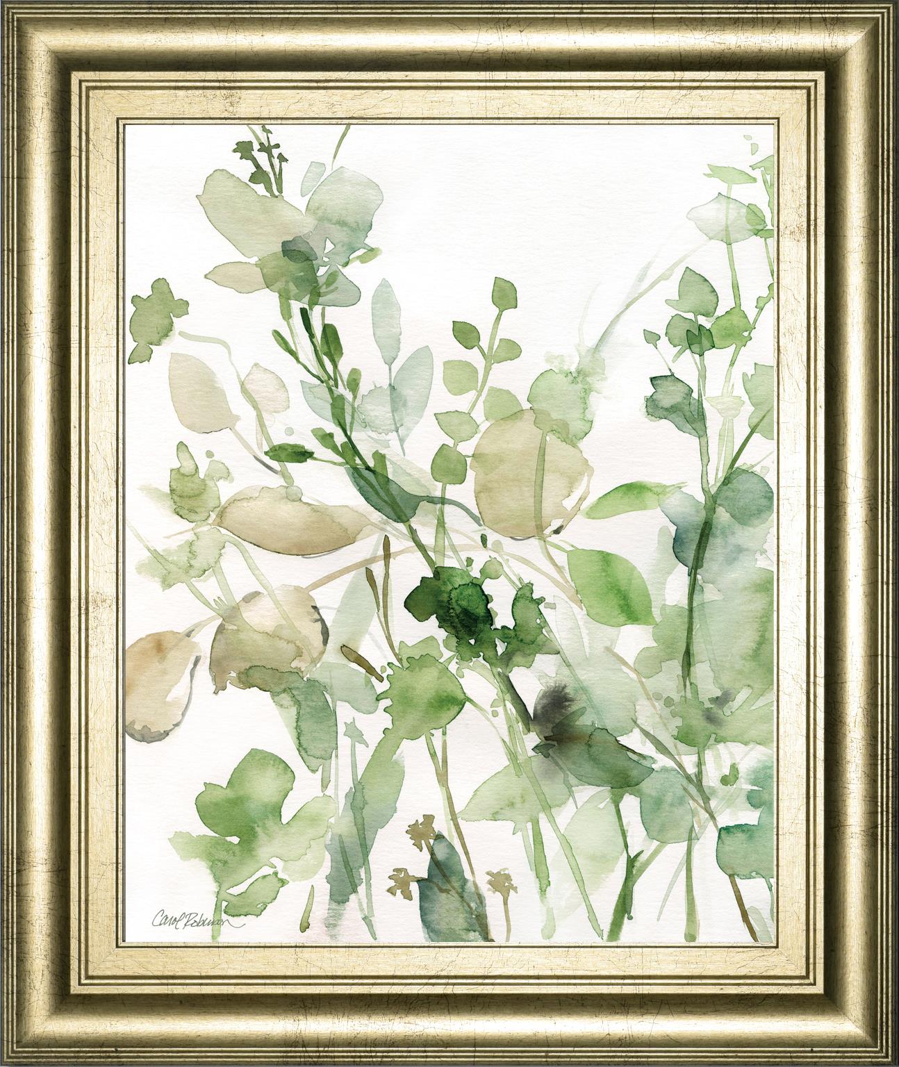 Sage Garden Ii By Carol Robinson 22X26 Framed Print