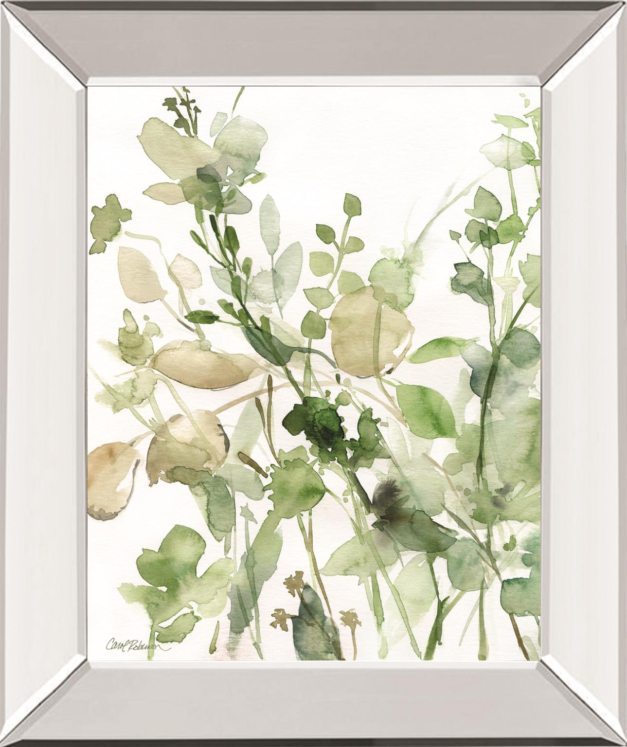 Sage Garden Ii By Carol Robinson 22X26 Mirror Frame Print