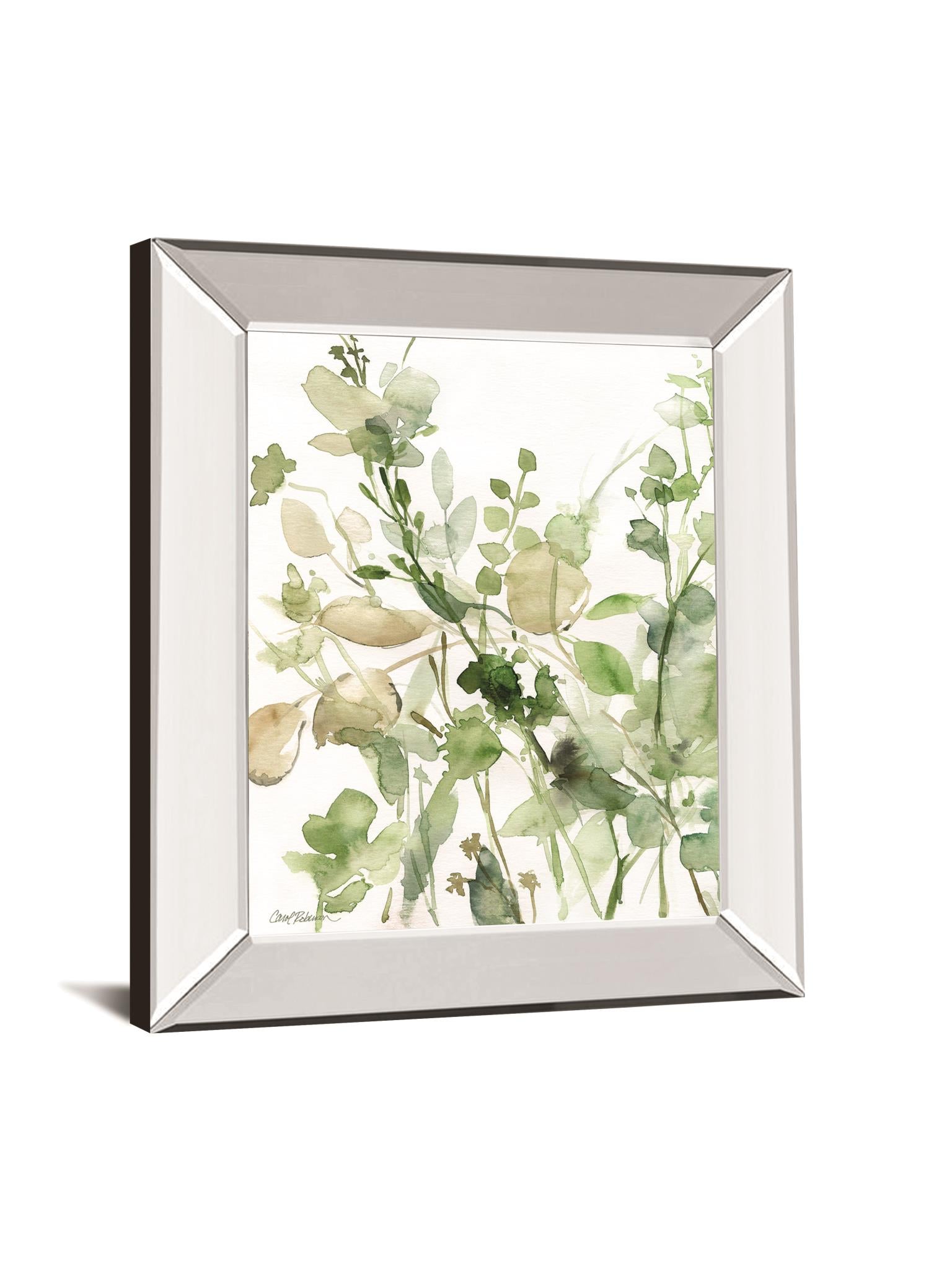 Sage Garden Ii By Carol Robinson 22X26 Mirror Frame Print