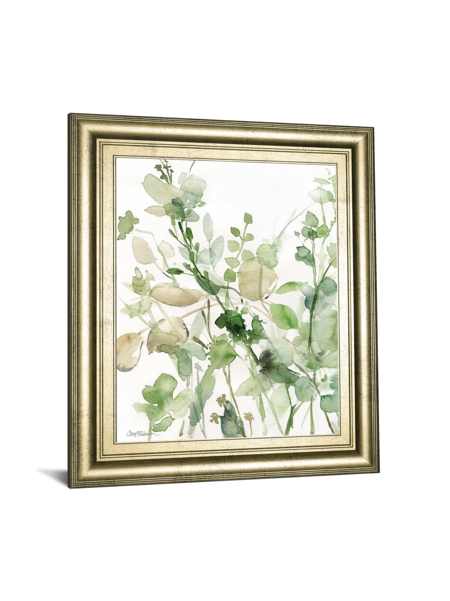 Sage Garden Ii By Carol Robinson 22X26 Framed Print
