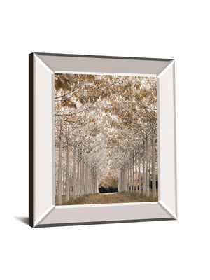 White Gold By Assaf Frank 22X26 Mirror Frame Print