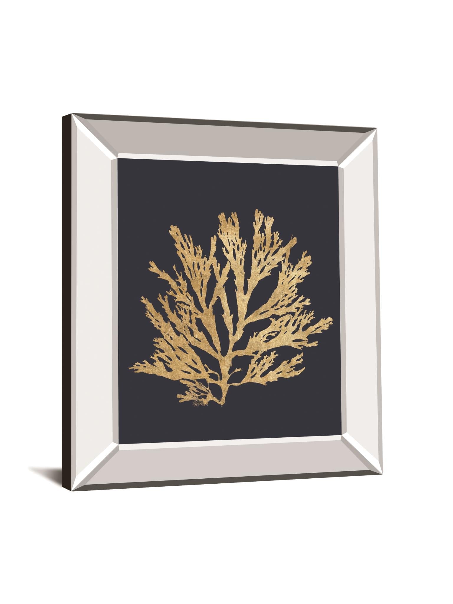 Pacific Sea Mosses I Indigo By Wild Apple Portfolio 22X26 Mirror Frame Print