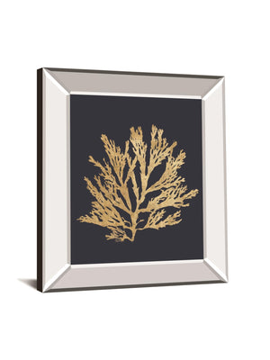 Pacific Sea Mosses I Indigo By Wild Apple Portfolio 22X26 Mirror Frame Print