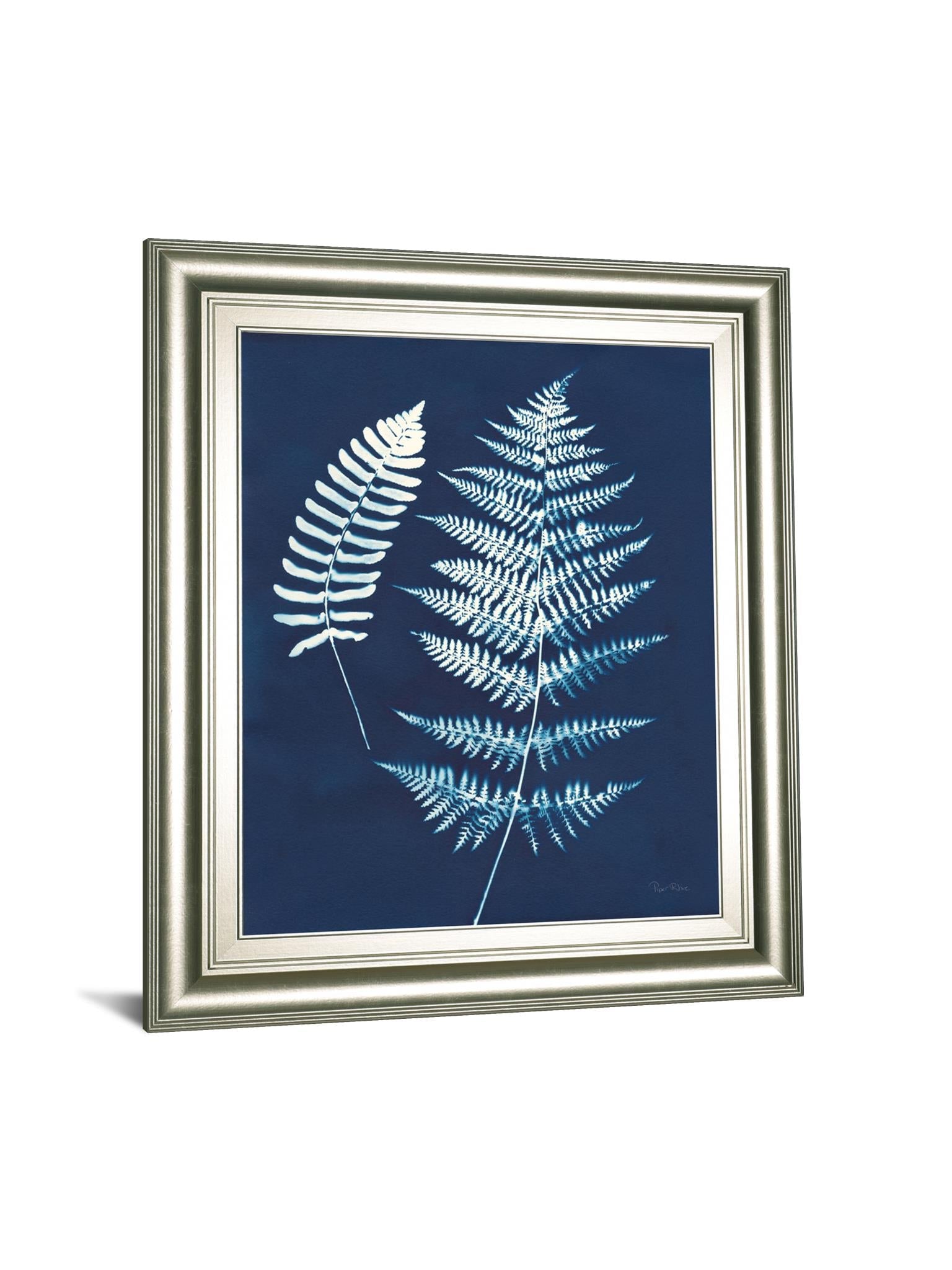 Nature By The Lake Ferns V By Piper Rhue 22X26 Framed Print