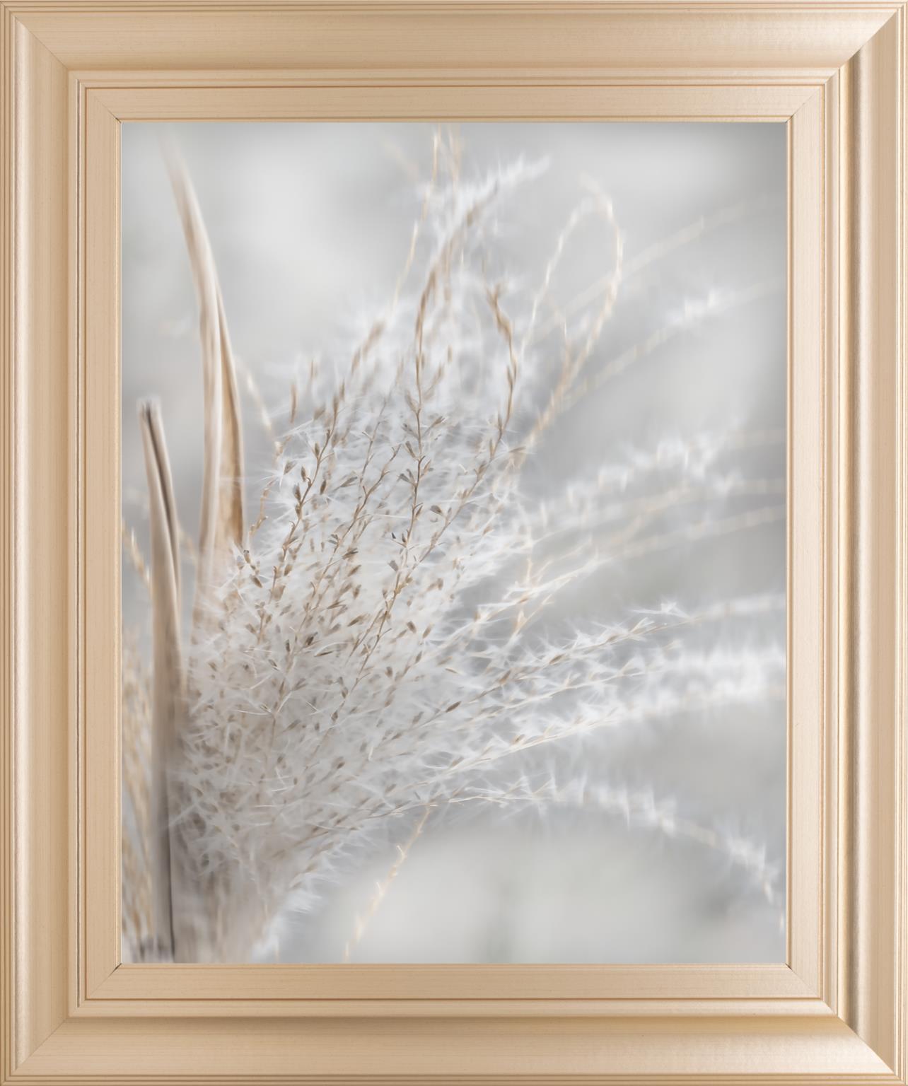 Summer Wisps I By Irene Weisz 22X26 Framed Print