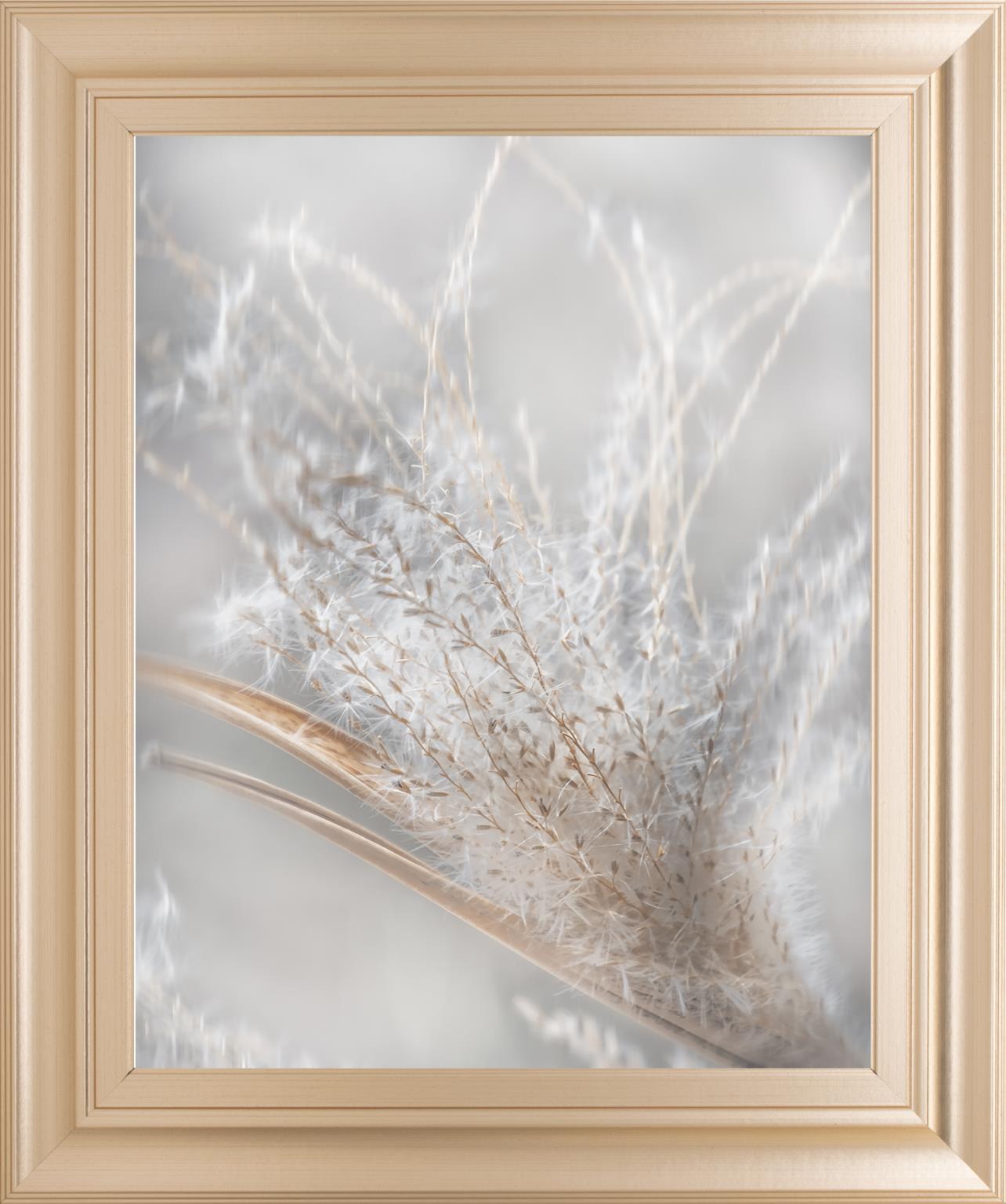 Summer Wisps Ii By Irene Weisz 22X26 Framed Print