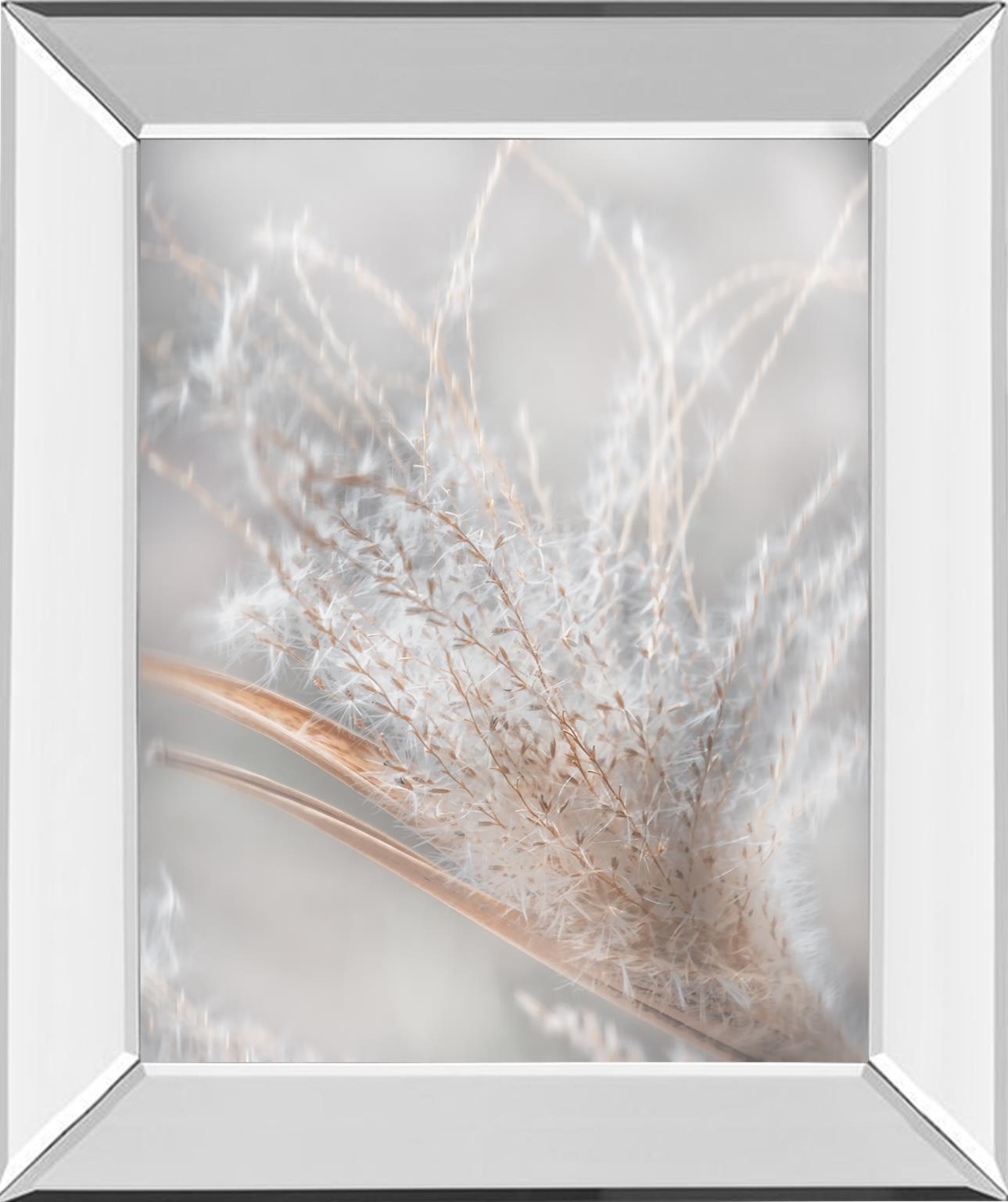 Summer Wisps Ii By Irene Weisz 22X26 Mirror Frame Print
