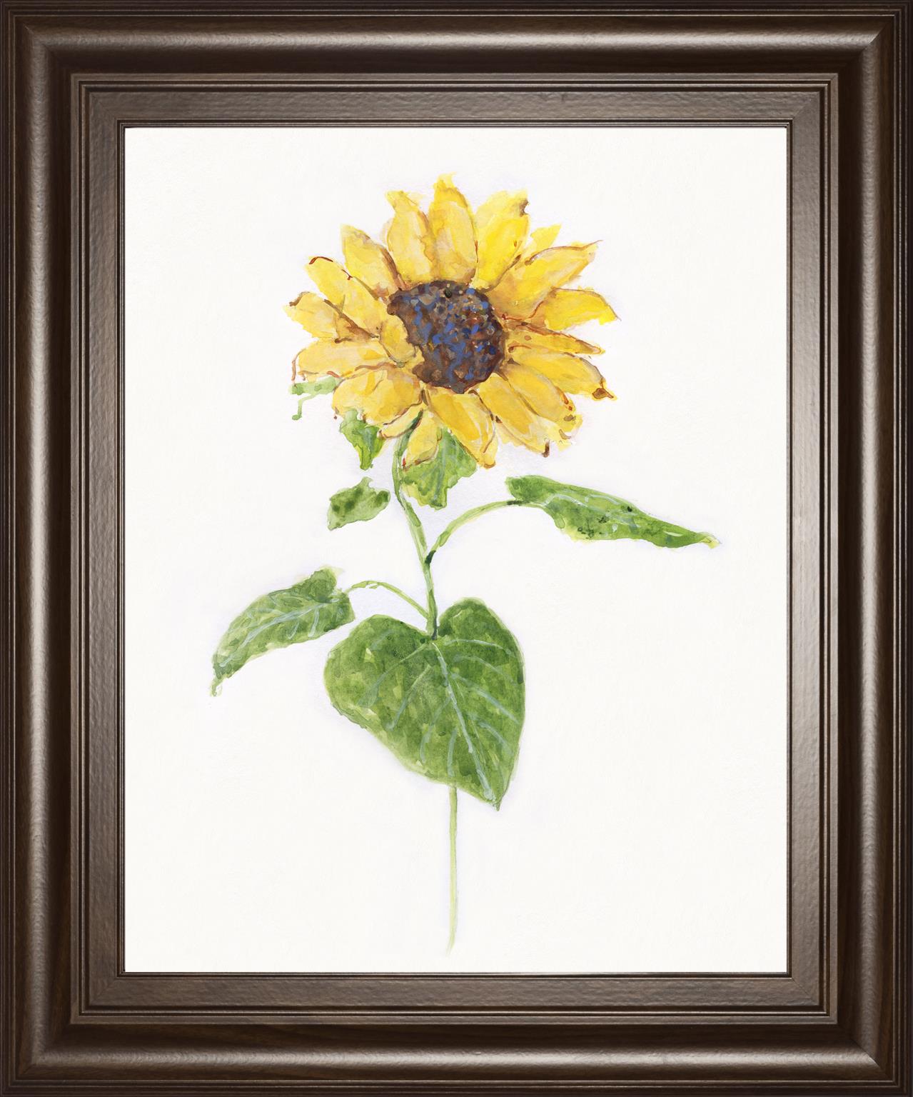 Sunflower I By Sally Swatland 22X26 Framed Print