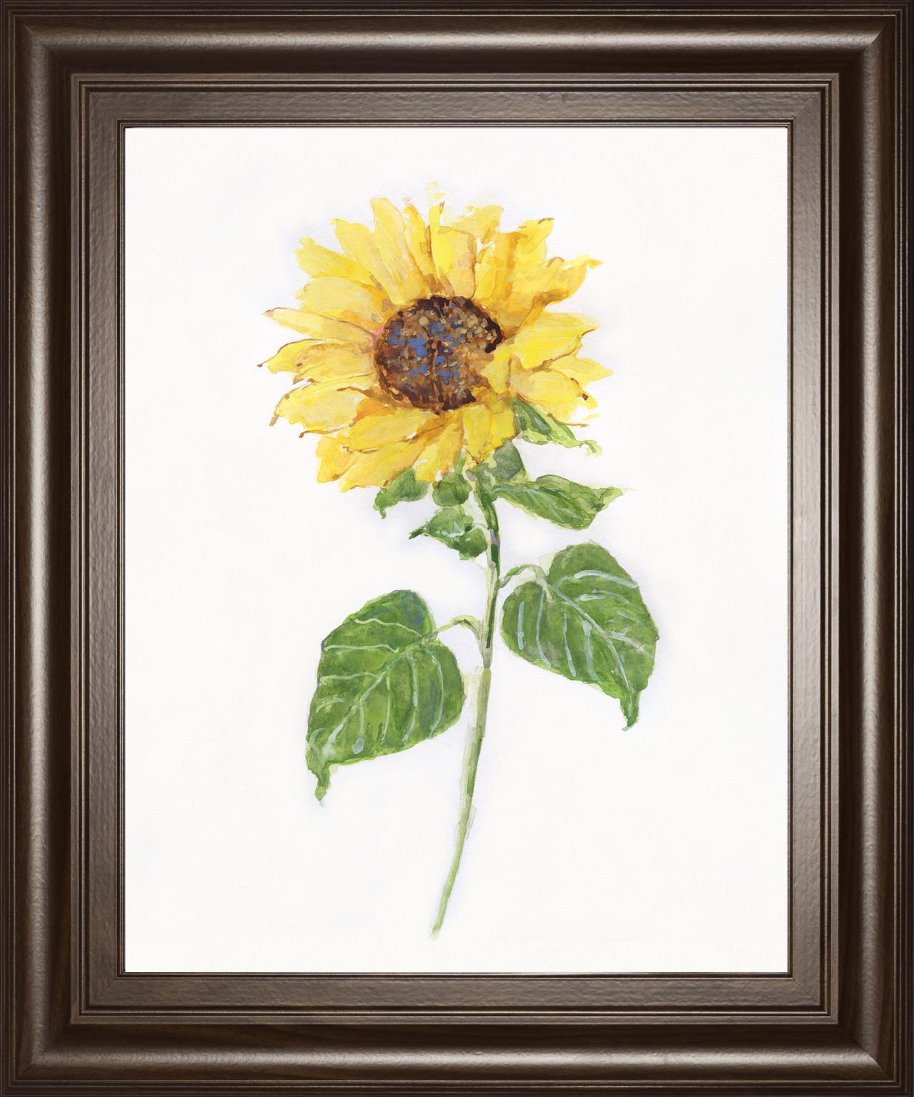 Sunflower Ii By Sally Swatland 22X26 Framed Print