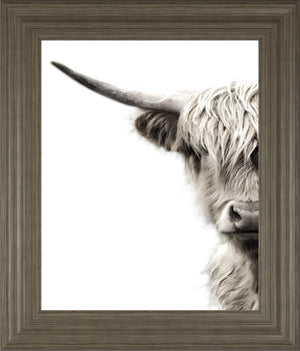 Highland Cattle By Danita Delimont 22X26 Framed Print