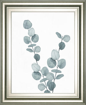 Blue Botanical Wash Iii By Conrad Knutsen 22X26 Framed Print
