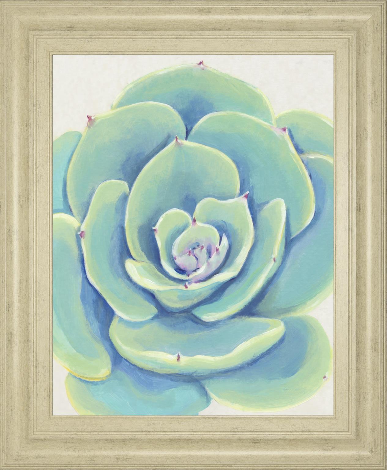 Pastel Succulent Iv By Tim Otoole 22X26 Framed Print