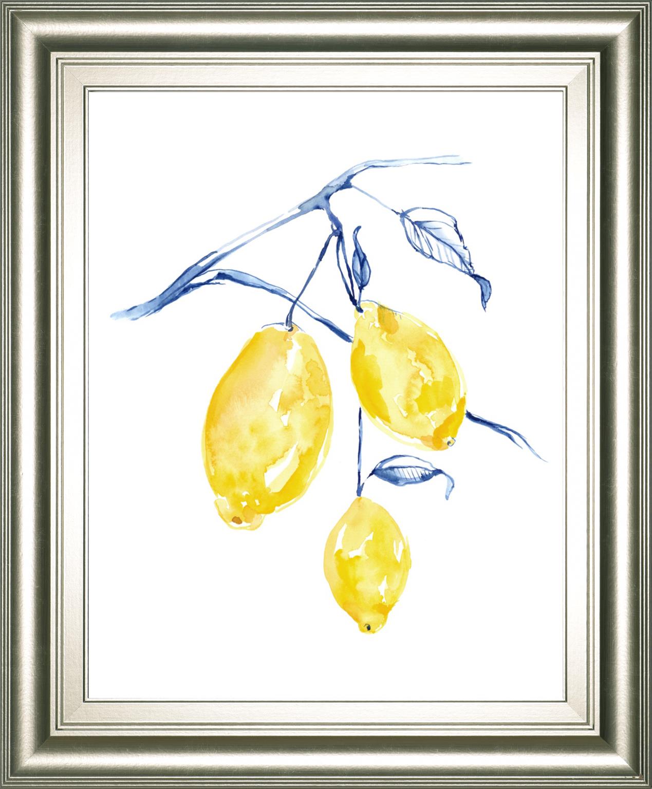 Watercolor Lemons I By Jennifer Goldberger 22X26 Framed Print