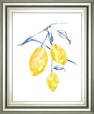 Watercolor Lemons I By Jennifer Goldberger 22X26 Framed Print