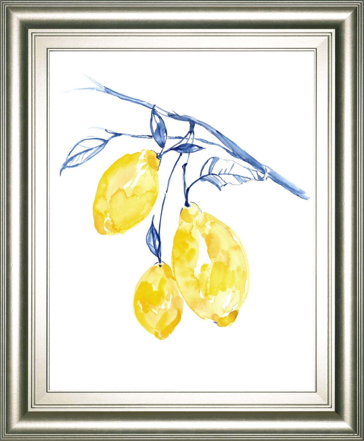 Watercolor Lemons Ii By Jennifer Goldberger 22X26 Framed Print
