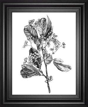 Hawthorn Berry Branch Ii By Emma Scarvey 22X26 Framed Print