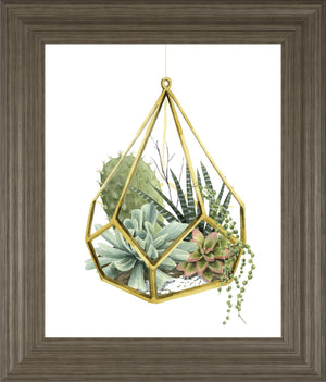 Wild Terrarium Ii By Grace Popp 22X26 Framed Print