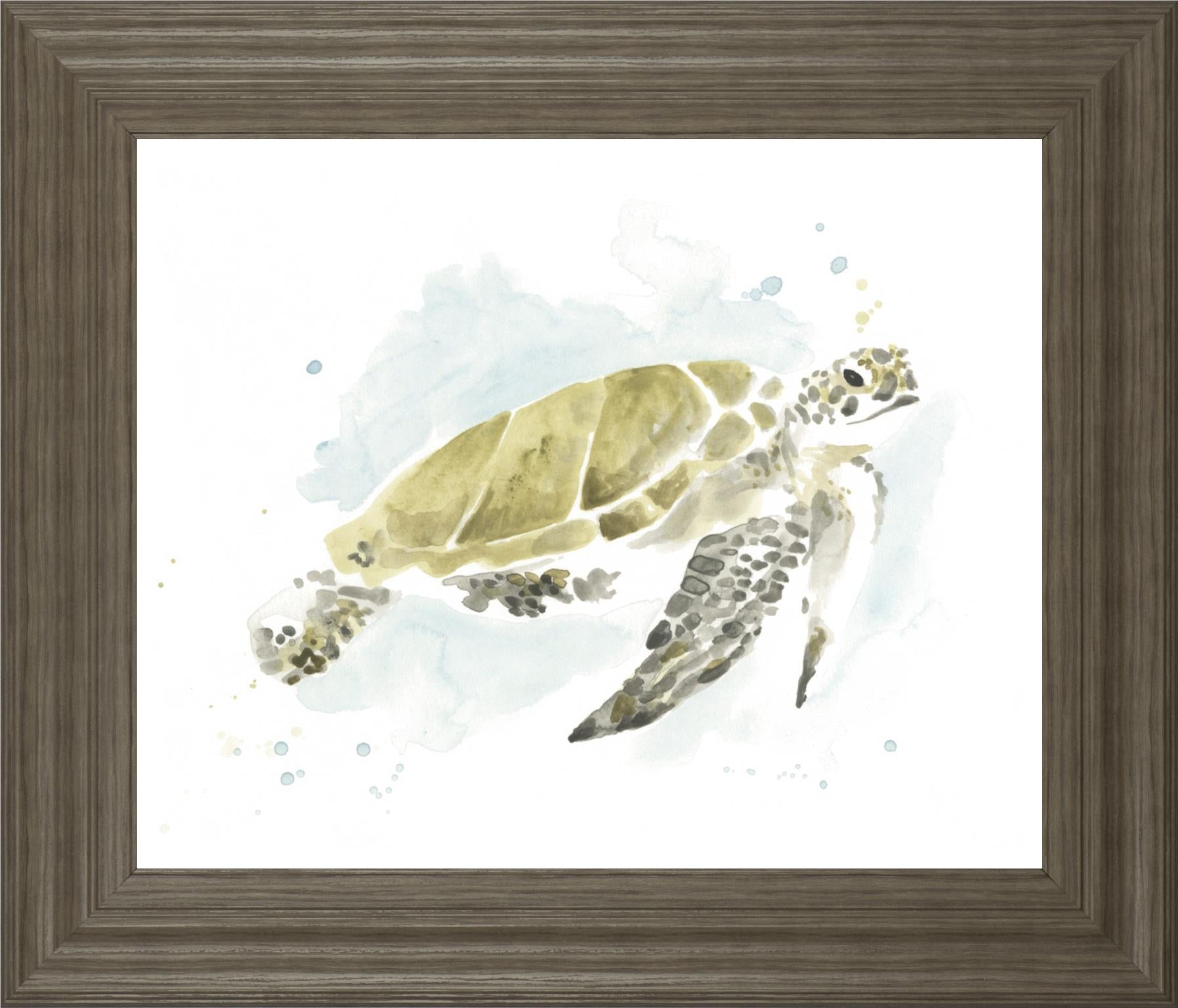 Watercolor Sea Turtle Study I By June Erica Vess 22X26 Framed Print