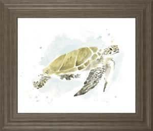 Watercolor Sea Turtle Study I By June Erica Vess 22X26 Framed Print