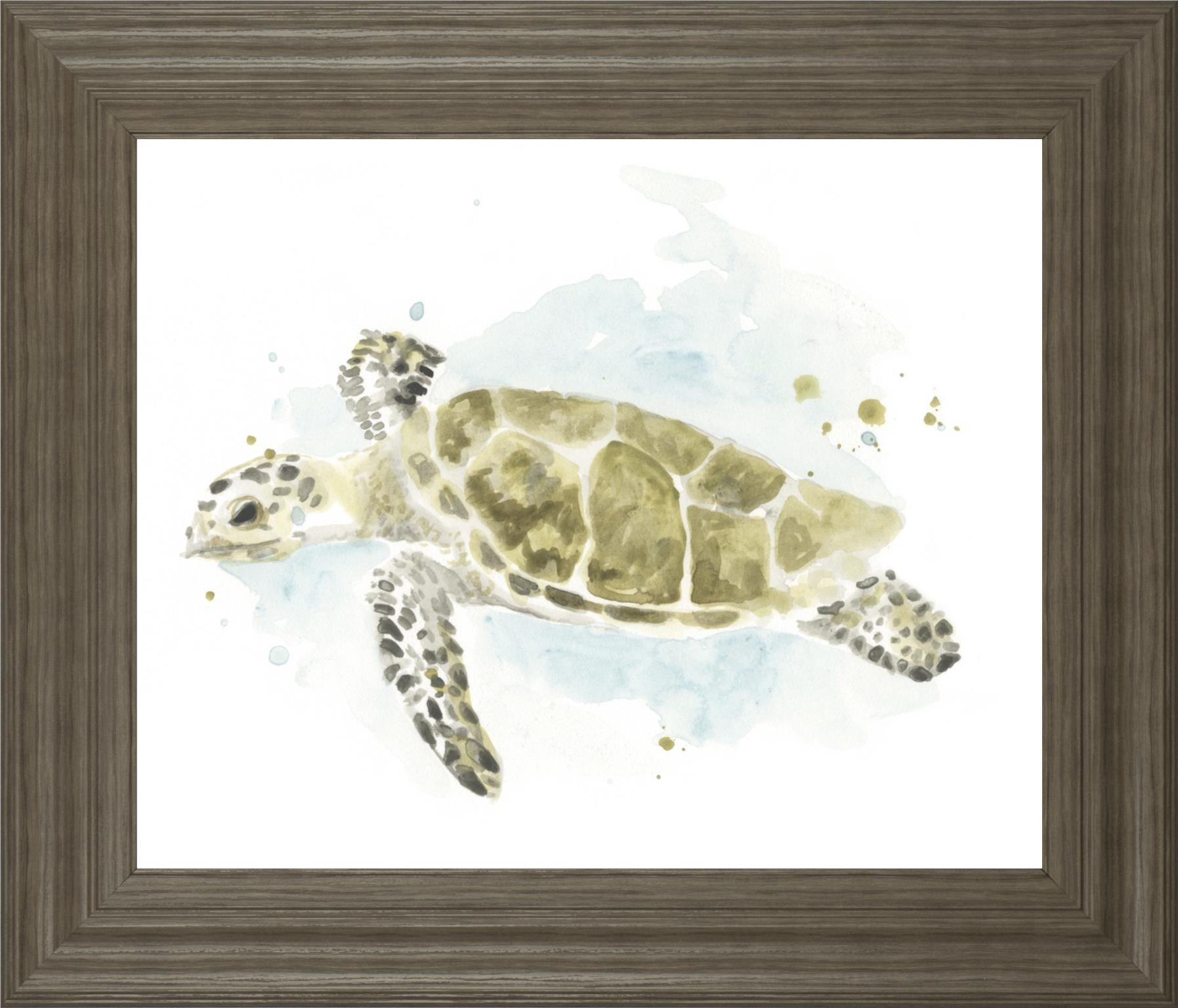 Watercolor Sea Turtle Study Ii By June Erica Vess 22X26 Framed Print