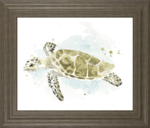 Watercolor Sea Turtle Study Ii By June Erica Vess 22X26 Framed Print