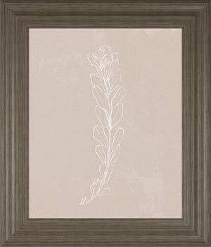 Blush Bloom Ii By Annie Warren 22X26 Framed Print