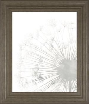 Dandelion Whisper Ii By Grace Popp 22X26 Framed Print