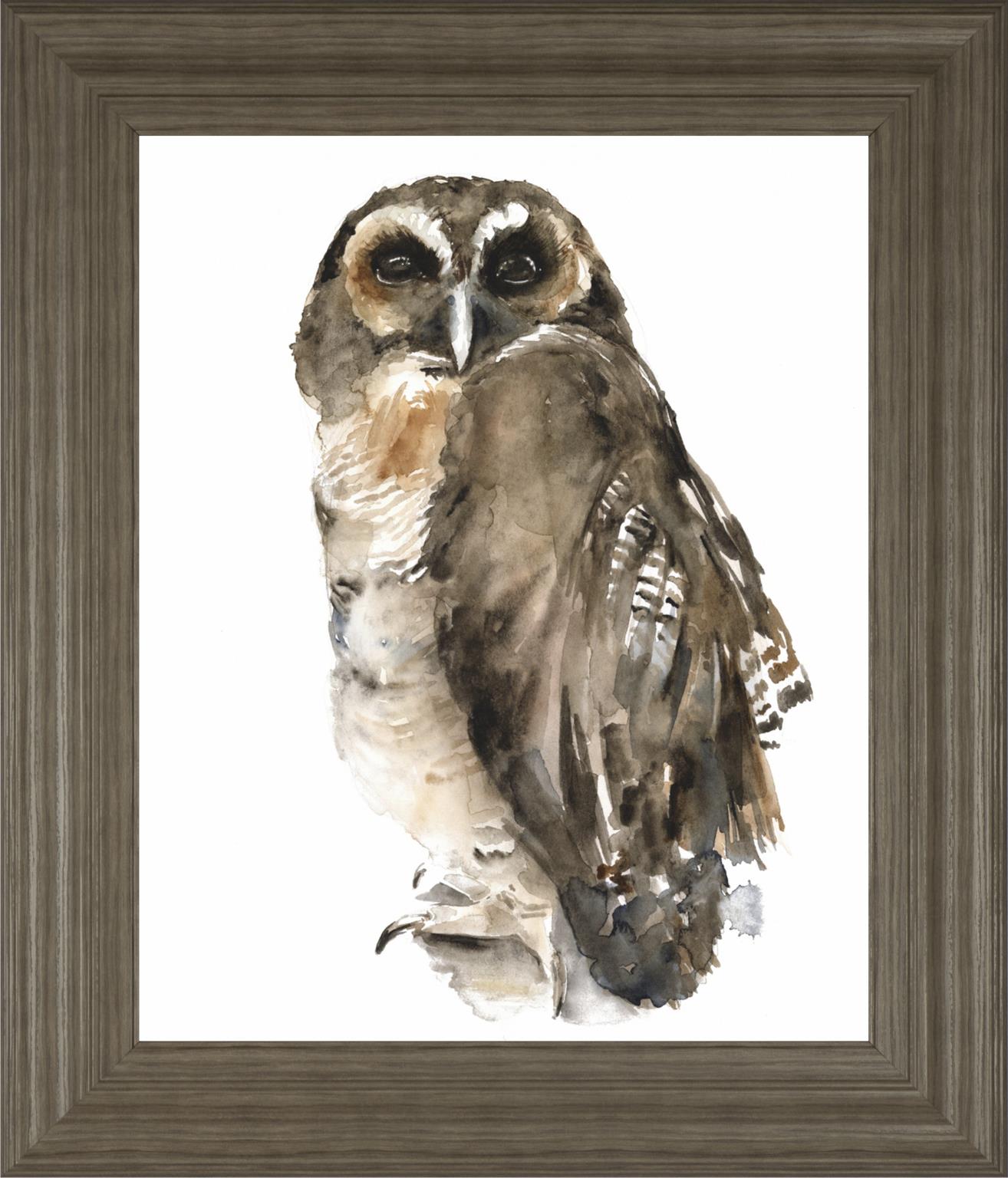 Watercolor Owl I By Jennifer Paxton Parker 22X26 Framed Print