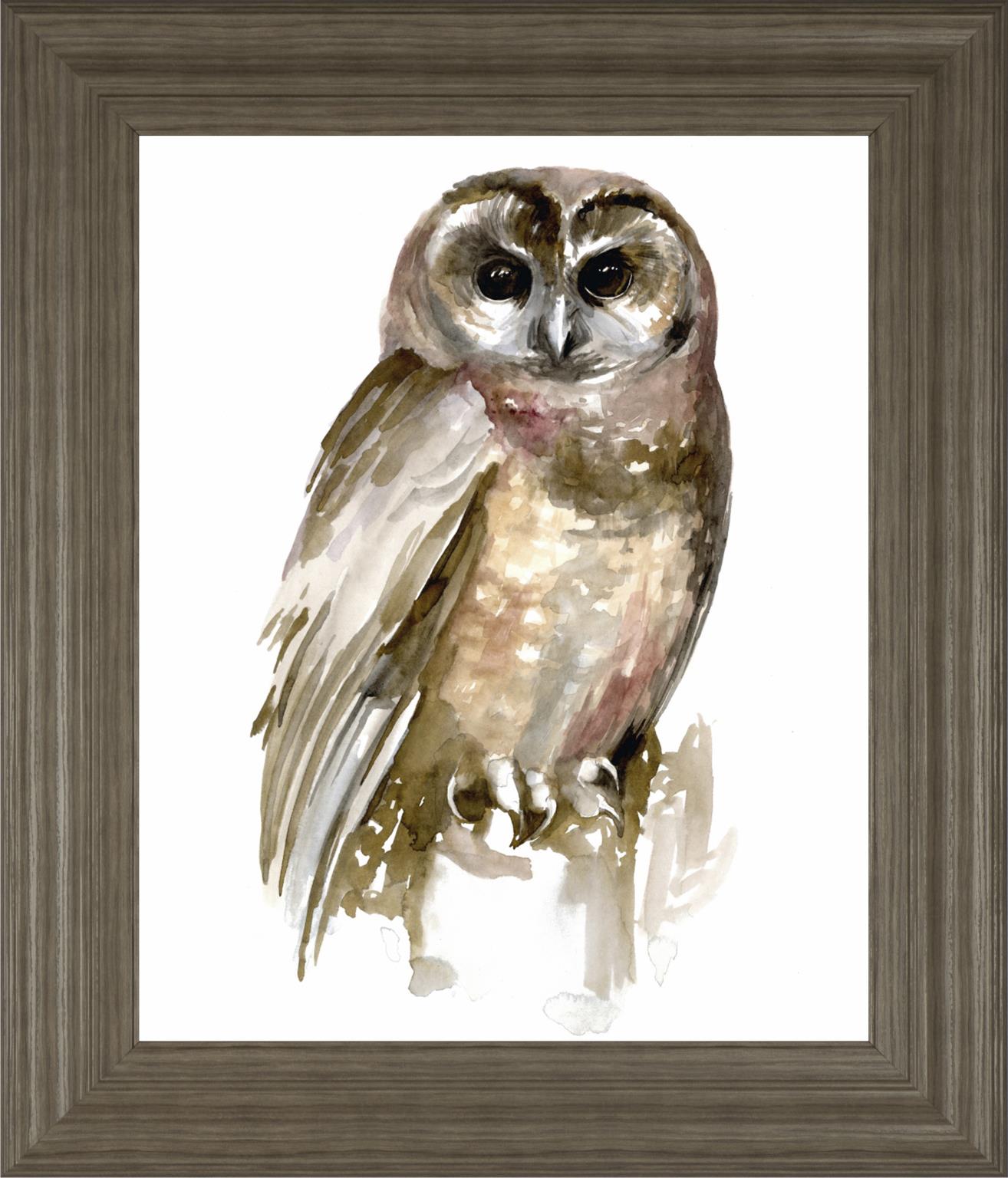 Watercolor Owl Ii By Jennifer Paxton Parker 22X26 Framed Print
