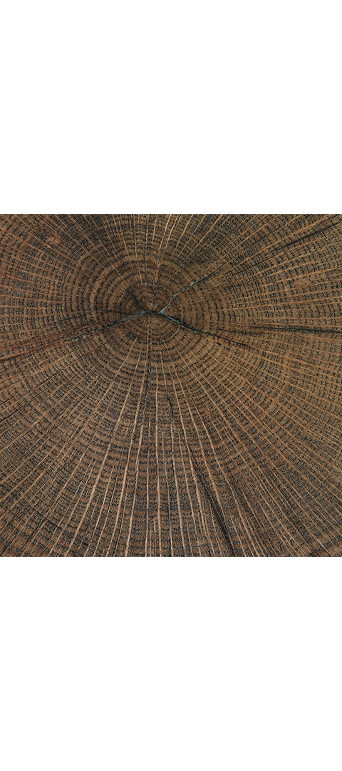 Cammund Accent Table (2/CN)