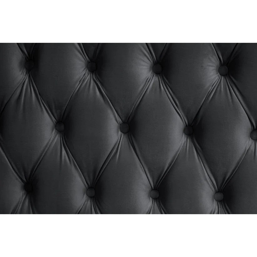 B8010 Royal (Black)